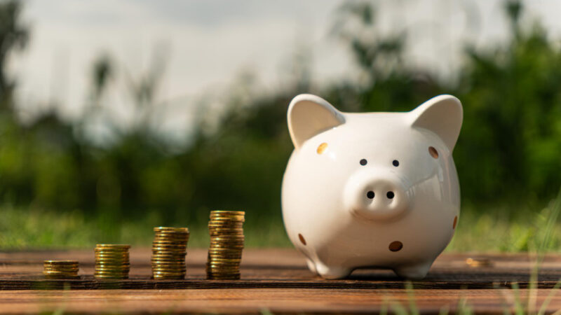 High-Yield Savings Accounts